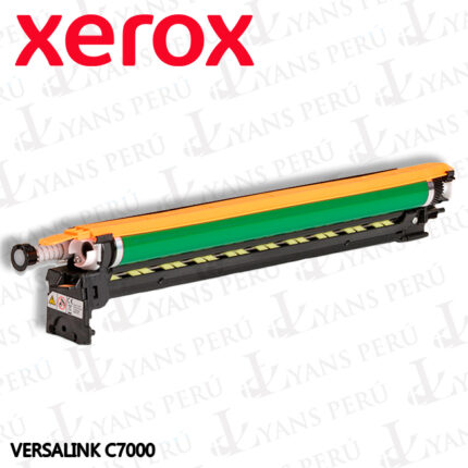 Drum Xerox 113R00782 para impersora C7000 Black